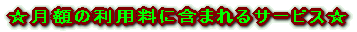 z̗pɊ܂܂T[rX 